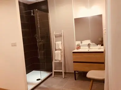 Salle de bain dans Appartement chaleureux et moderne à Béziers - 4