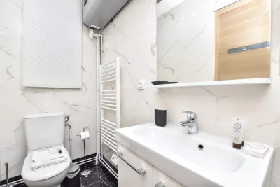 Bathroom in Appartement sympathique aux Buttes-Chaumont - 4