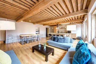 Living room in Bel appartement de bois à Lyon - 1